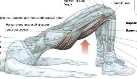 Болит желудок лежа на спине