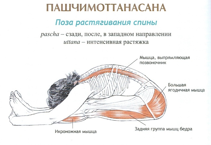 Пашчимоттанасана Пашчимоттанасана