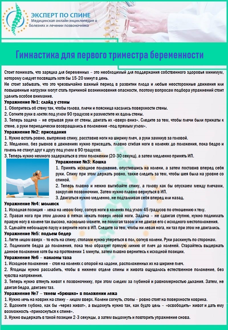 Гимнастика для первого триместра беременности