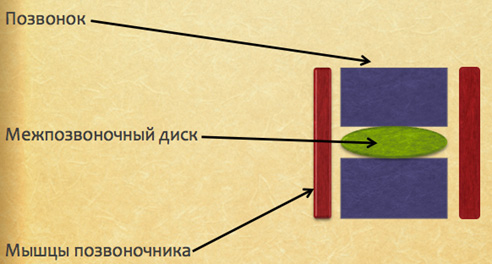 Болит спина при постельном режиме