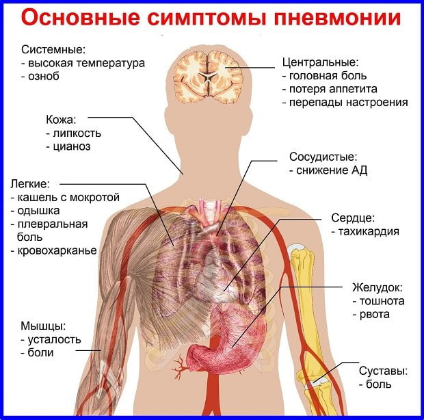 Очень сильно болит середина спины
